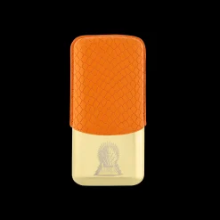 3 cigar case