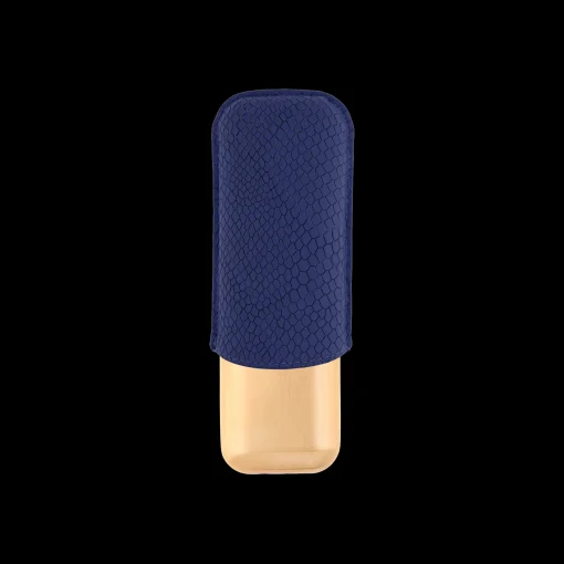 2 cigar case